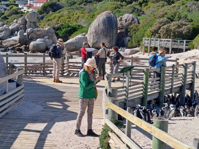 csaf boulders beach