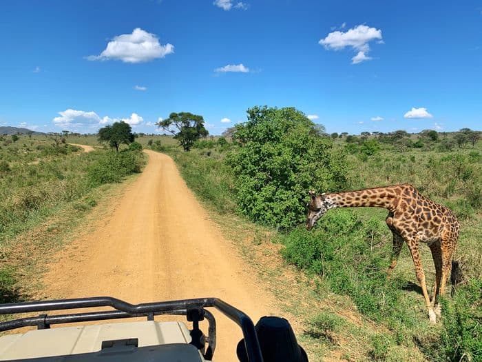 Serengeti Tanzania