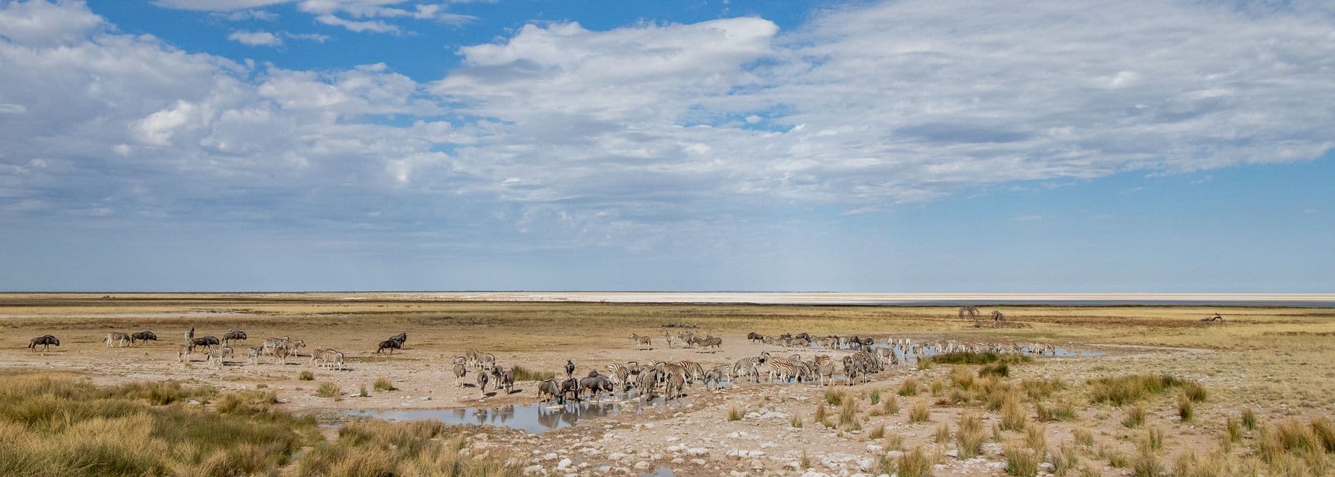 Etosha National Park Namibia