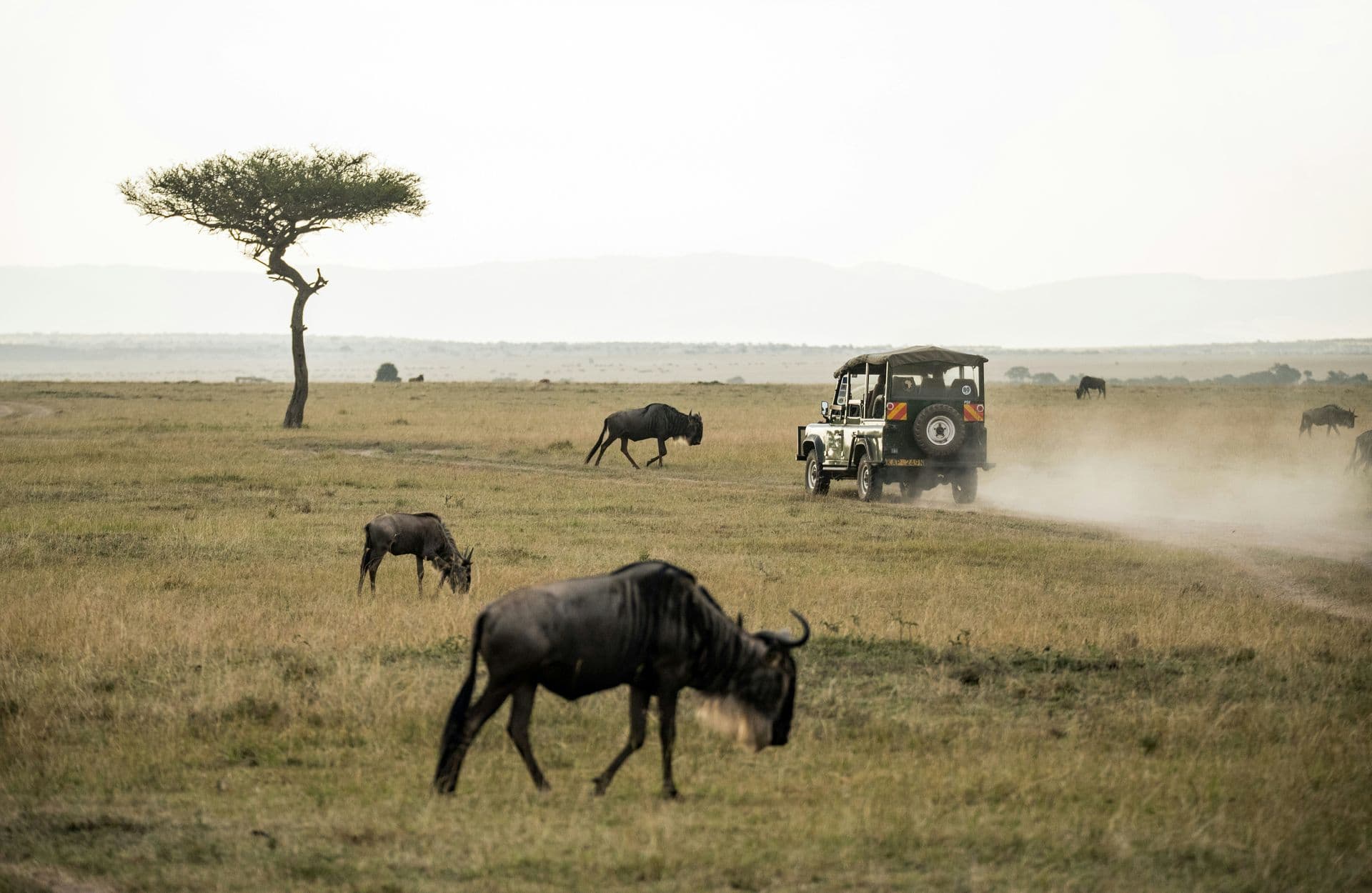 kenya tanzania xktz 4 safari