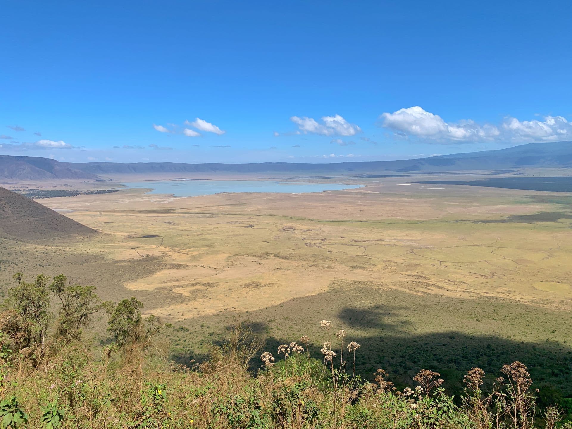Ngorongoro