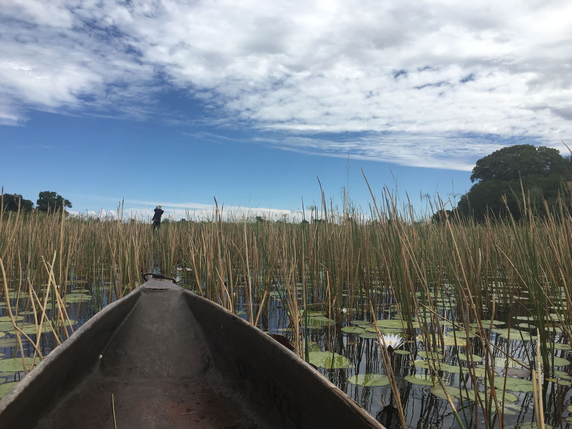 Kavango River Mokoro