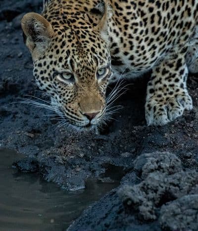 Africaventura