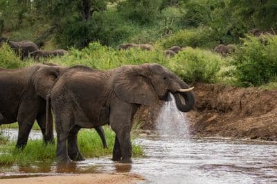 Africaventura