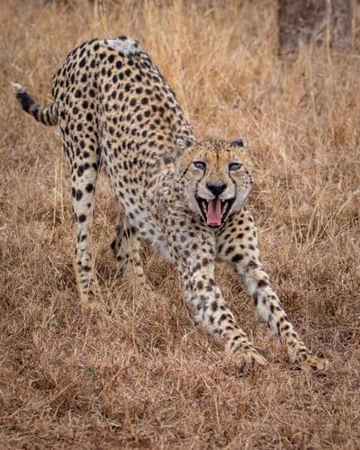 Africaventura