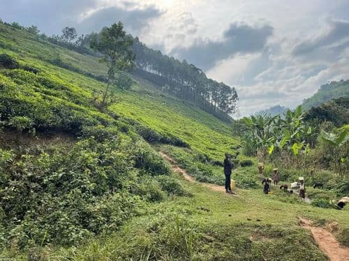 Reisebericht: Uganda, Land der Kontraste und Schätze