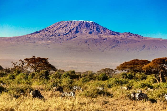 amboseli national park