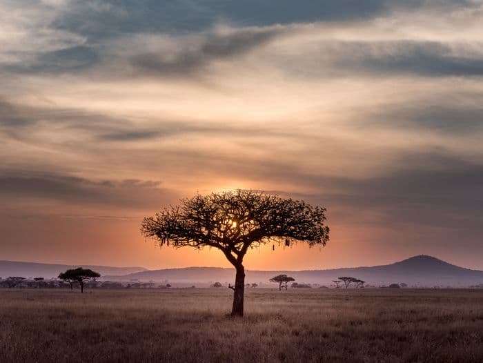 Serengeti Tanzania