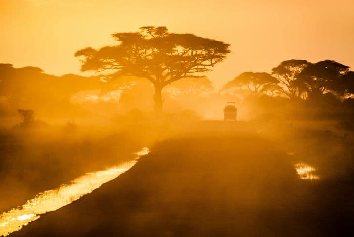 safari sunset amboseli national park kenya