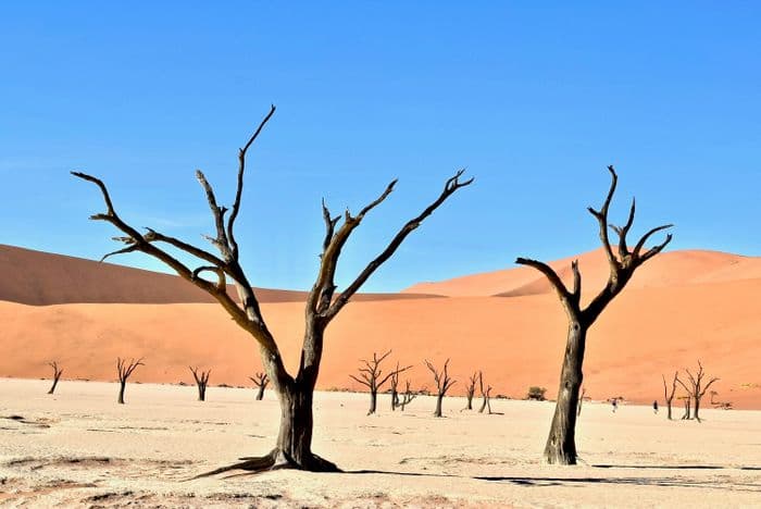 deadvlei