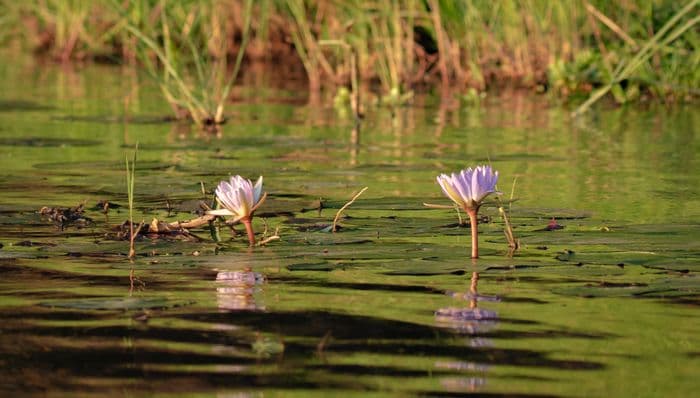 Caprivi Strip Namibia