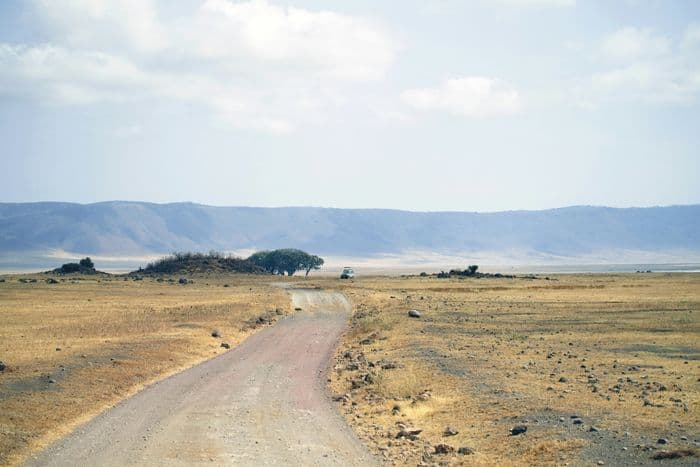 Serengeti