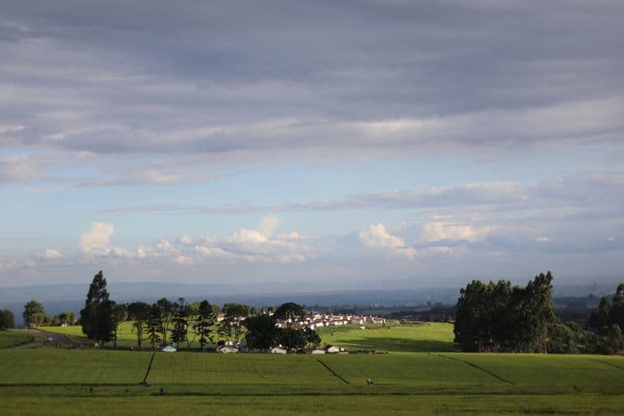 limuru