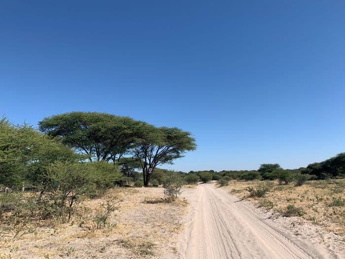 Chobe National Park