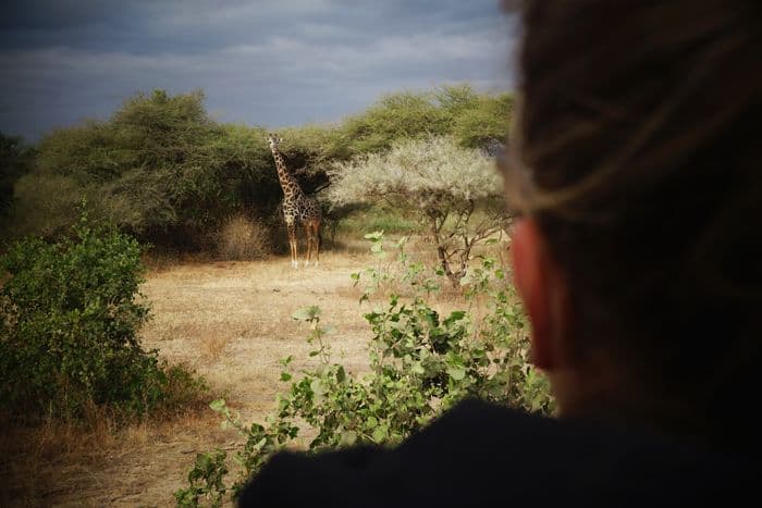 Bush Walk Manyara