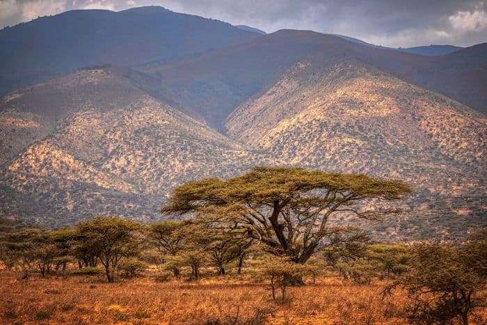 Tanzania landcapes