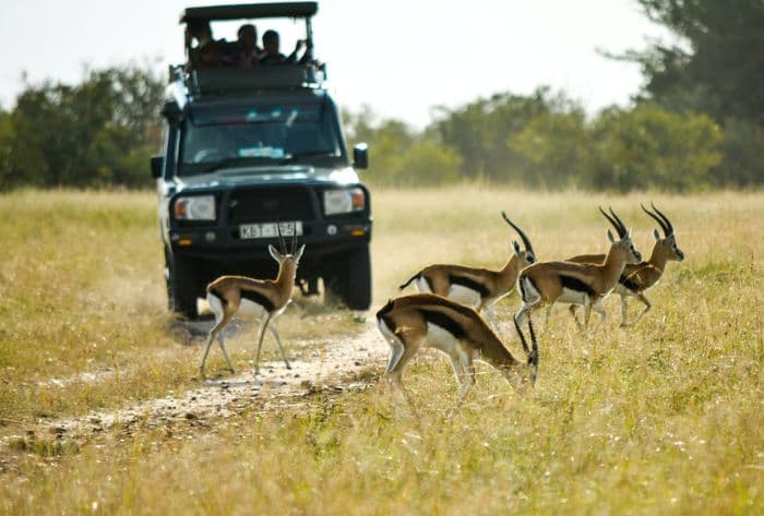 Maasai Mara