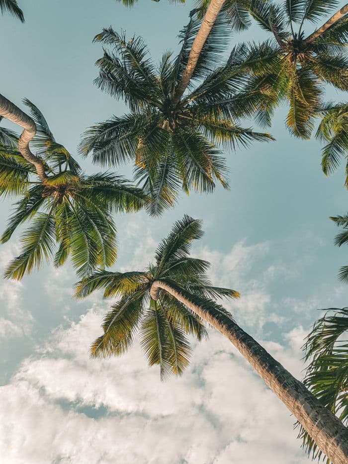 Kilifi