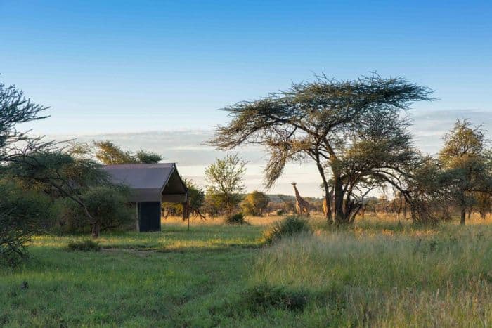 Tented camp Serengeti