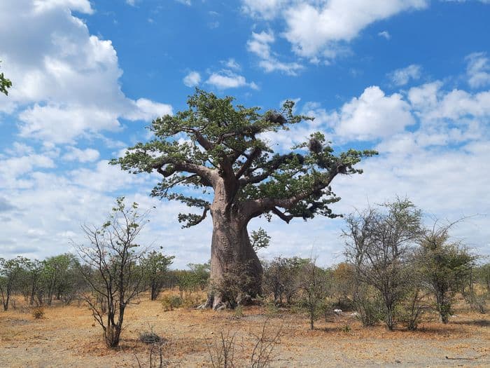 Botswana