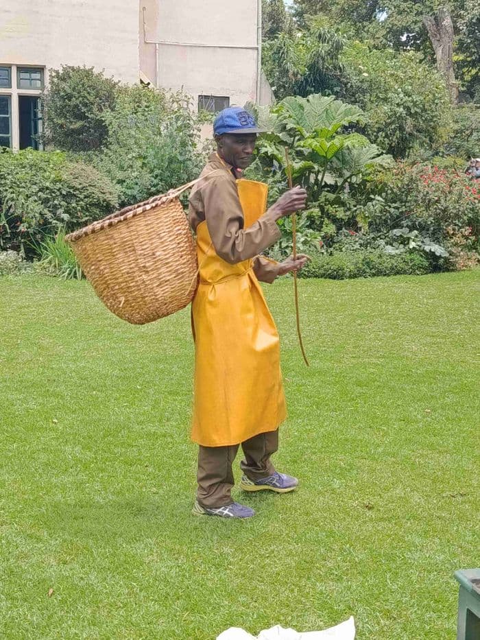 Kiambethu Tea Farm