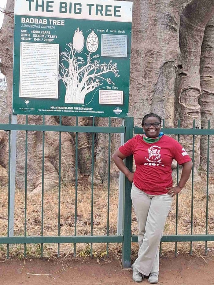 Baobab