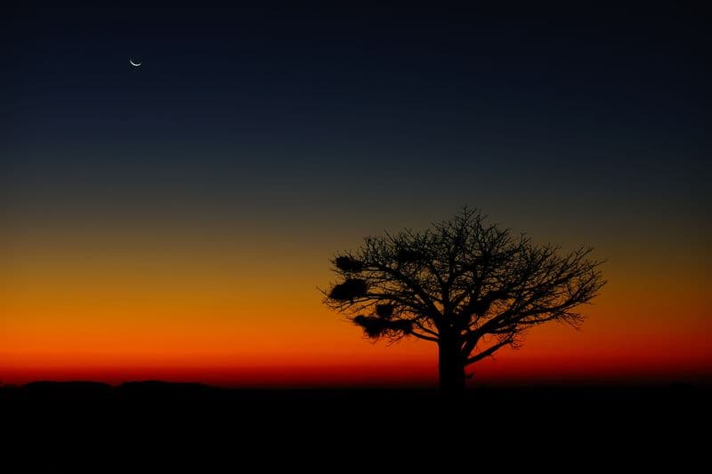 Botswana Sunset